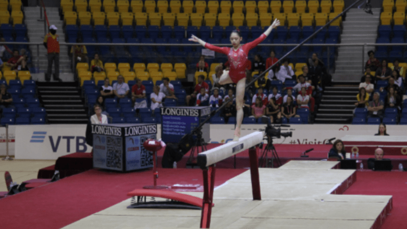 Taishan Gymnastics Equipment